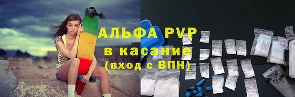 индика Алексин