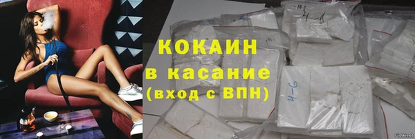 индика Алексин