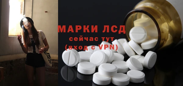 индика Алексин