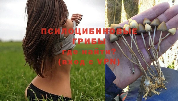 индика Алексин